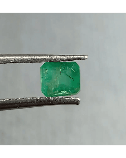 67ct Zambian Emerald Natural Green Gemstone - SMSGEMS 