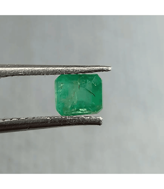 67ct Zambian Emerald Natural Green Gemstone - SMSGEMS 