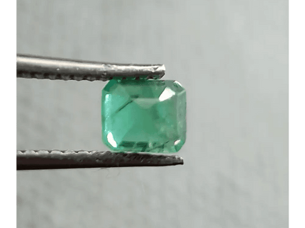 67ct Zambian Emerald Natural Green Gemstone - SMSGEMS 