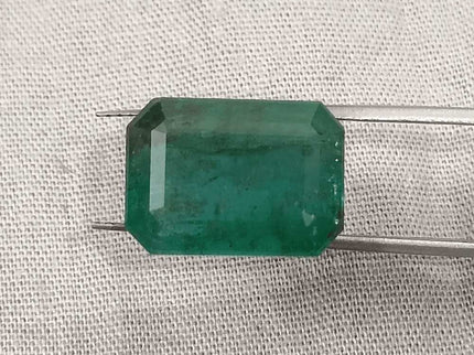 10.92ct Medium Deep Forest Green Emerald, Natural Gemstone - SMSGEMS 