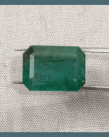 10.92ct Medium Deep Forest Green Emerald, Natural Gemstone - SMSGEMS 
