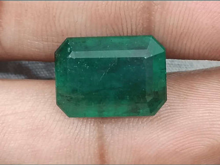 10.92ct Medium Deep Forest Green Emerald, Natural Gemstone - SMSGEMS 