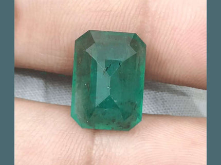 10.92ct Medium Deep Forest Green Emerald, Natural Gemstone - SMSGEMS 