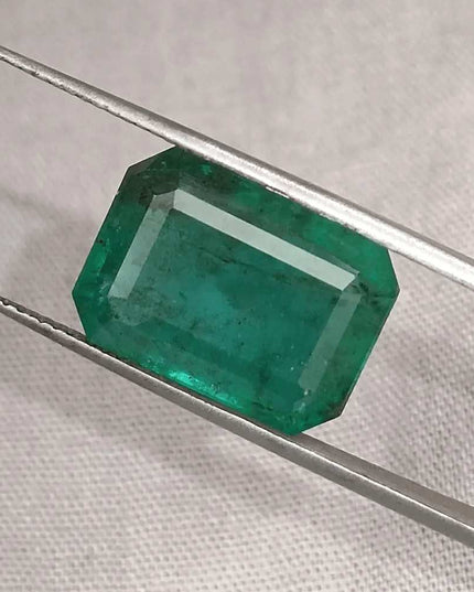 10.92ct Medium Deep Forest Green Emerald, Natural Gemstone - SMSGEMS 