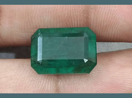 10.92ct Medium Deep Forest Green Emerald, Natural Gemstone - SMSGEMS 