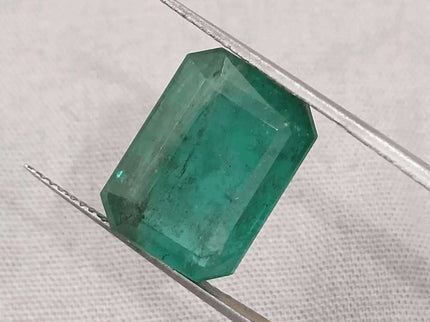 10.92ct Medium Deep Forest Green Emerald, Natural Gemstone - SMSGEMS 