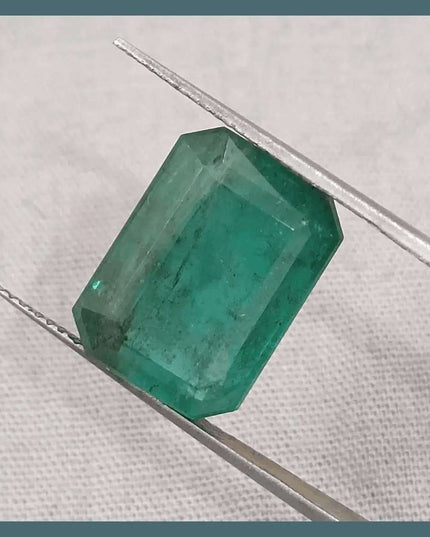 10.92ct Medium Deep Forest Green Emerald, Natural Gemstone - SMSGEMS 