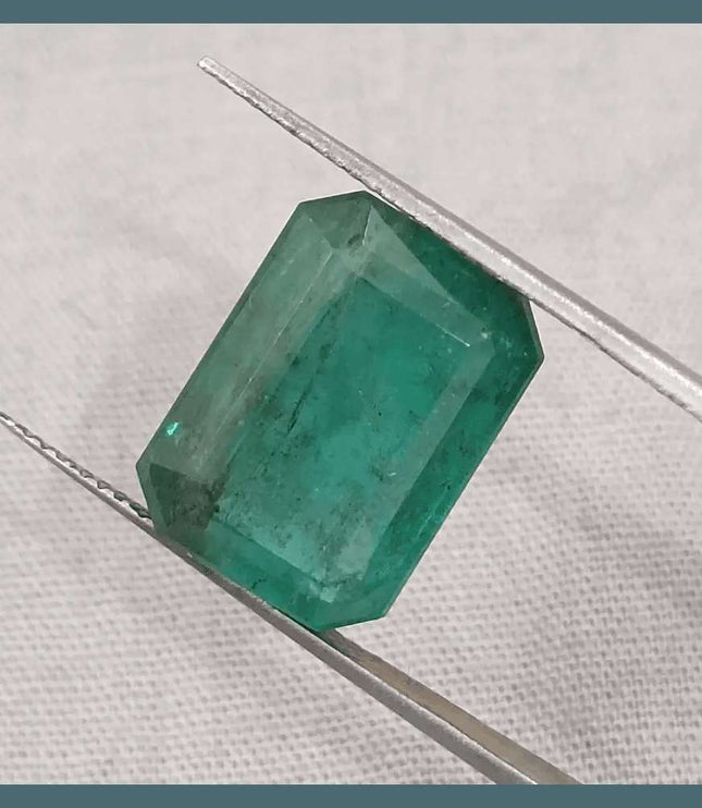 10.92ct Medium Deep Forest Green Emerald, Natural Gemstone - SMSGEMS 