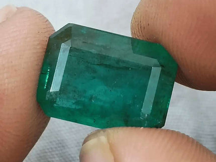 10.92ct Medium Deep Forest Green Emerald, Natural Gemstone - SMSGEMS 