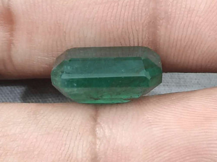 10.92ct Medium Deep Forest Green Emerald, Natural Gemstone - SMSGEMS 
