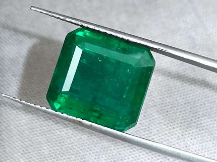 8.89ct Deep Vivid Green Zambian Emerald, Natural Emerald. - SMSGEMS 