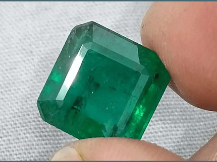 9.93ct Zambian Emerald Vivid Deep Green Certified by GSI - SMSGEMS 