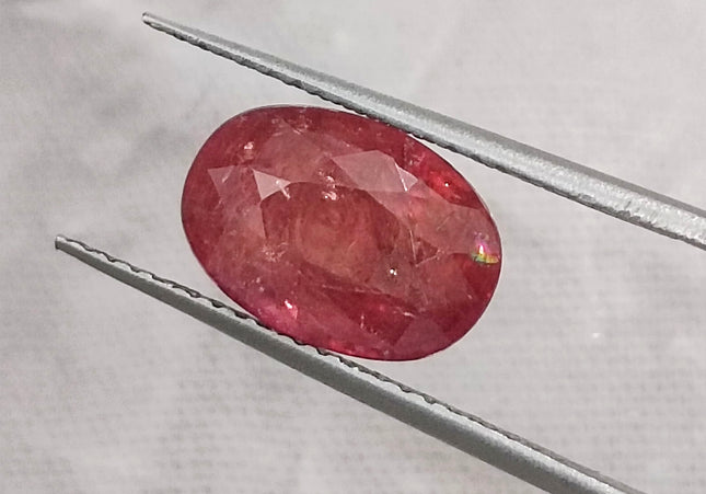 3.48ct IGI Certified  Blood Red Burmese Ruby, Natural Untreated Gemstone