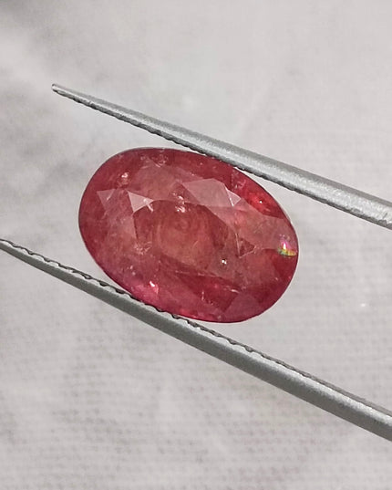 3.48ct IGI Certified  Blood Red Burmese Ruby, Natural Untreated Gemstone