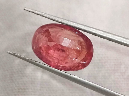 Burmese Ruby 3.48ct IGI Certified Natural Untreated Blood Red Oval Cut Loose Gemstone