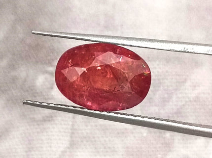 Burmese Ruby 3.48ct IGI Certified Natural Untreated Blood Red Oval Cut Loose Gemstone
