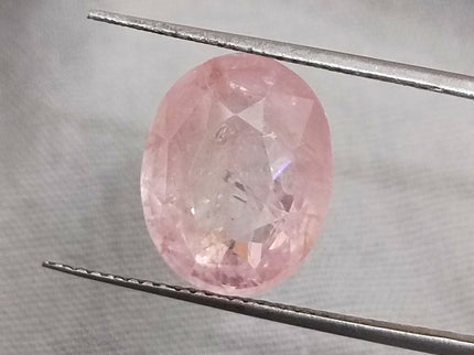 Natural Padparadscha Sapphire 9.04ct IGI Certified Untreated Loose Gemstone Ceylon Origin