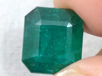 Zambian Emerald 13.40 ct Dark Green Octagon Cut Loose Gemstone – Investment Grade
