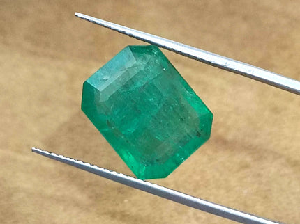 Natural Emerald 6.62ct Natural Medium Green Zambian Origin Loose Gemstone
