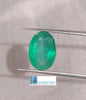 GSI Certified 2.25ct Intense Medium Green, Zambian Emerald, 100% Natural Gemstone