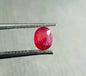 0.59ct Burmese Ruby, 100% Natural Untreated Gem