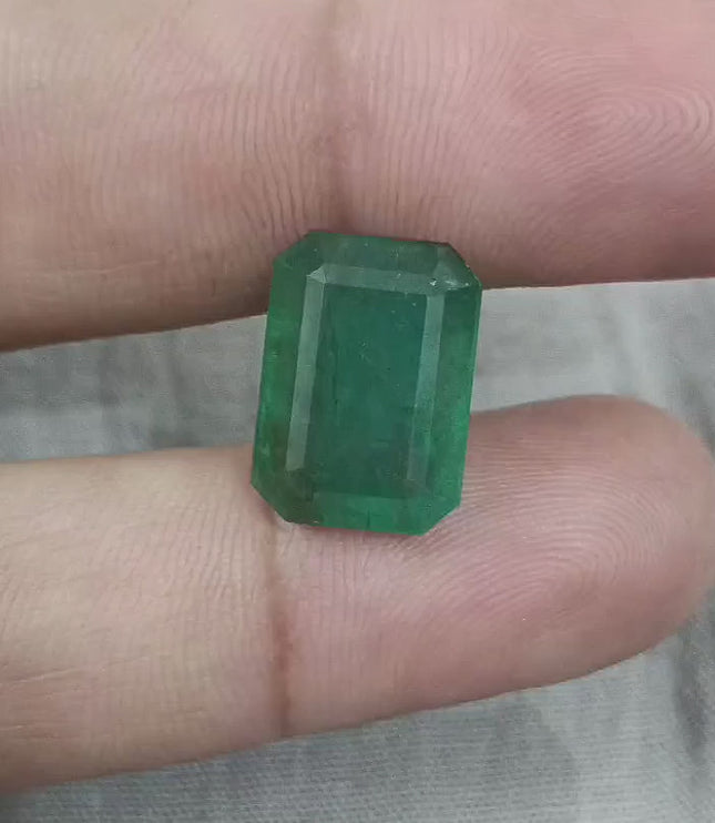 Zambian Emerald 10.92 ct Deep Forest GreenOctagon Cut Loose Gemstone