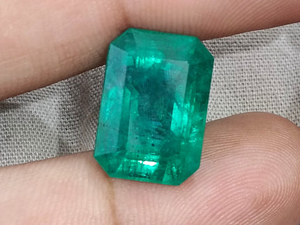 Natural Emerald 13.86ct Zambia Deep Green Octagon Cut Gemstone