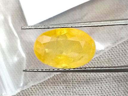 Lemon Yellow Sapphire 3.84ct Certified Natural Unheated Oval Cut Loose Gemstone