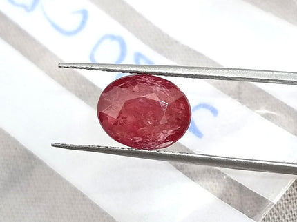 2.80ct Unheated Natural Ruby Mozambique SGL Certified Vivid Red Oval Loose Gemstone