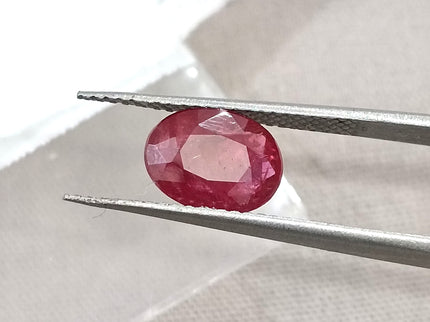 1.74ct Unheated Mozambique Ruby SGL Certified Wine Red Oval Cut Loose Gemstone