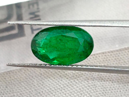 2.46ct Natural Emerald Top Vivid Deep Green Zambian Oval Cut GSI Certified Gemstone