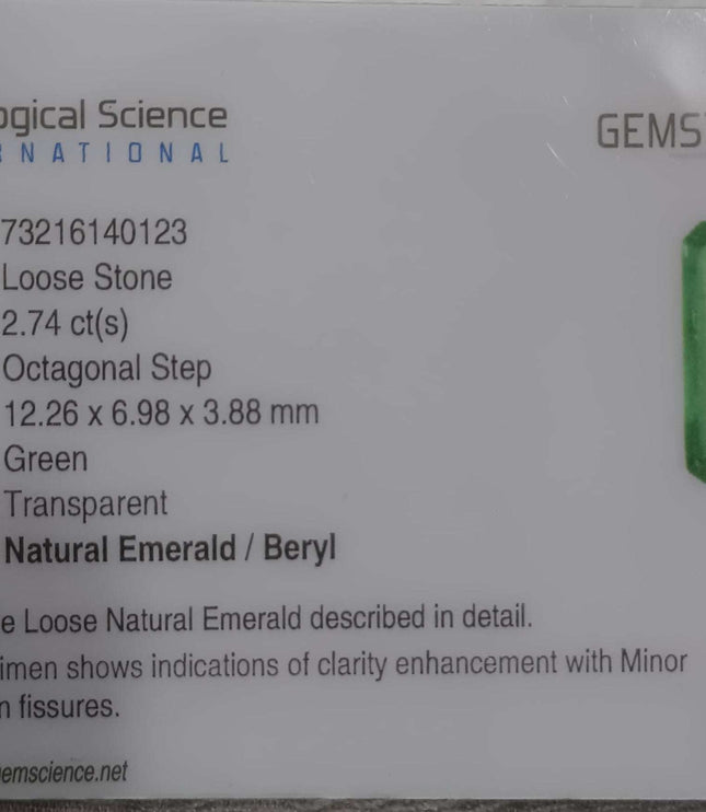 Zambian Emerald 2.74ct Certified Natural Medium Light Green Octagon Cut Loose Stone