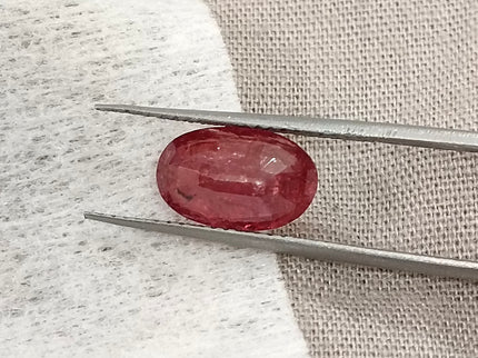 2.60ct Untreated Mozambique Ruby SGL Certified Rasberry Red Oval Cut Gemstone