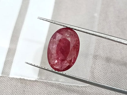 3.29ct Untreated Natural Mozambique Ruby Rasberry Red SGL Certified Oval Loose Gemstone