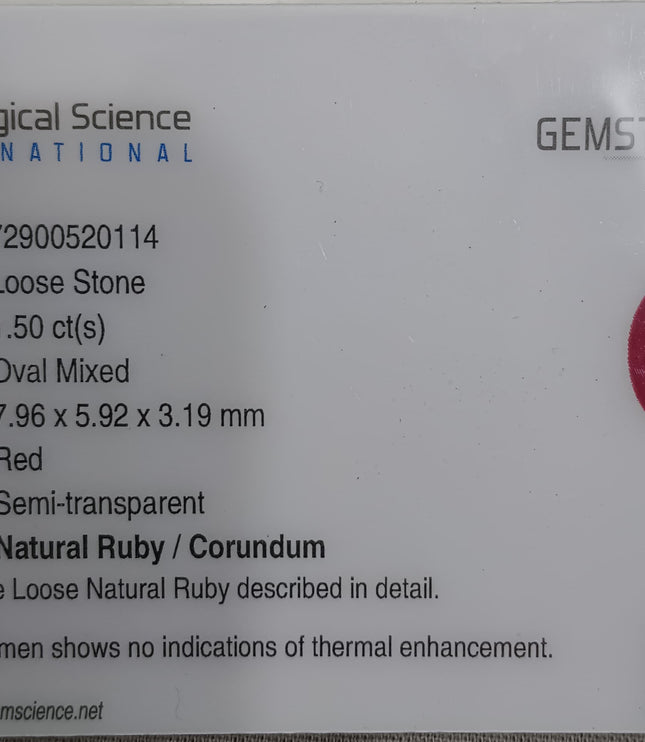 GSI Certified 1.50ct Mozambique Ruby, Natural Untreated Gemstone
