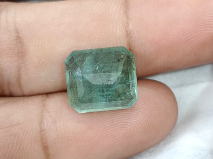10.10ct Natural Emerald AGRL Certified Pastel Green Octagon Cut Loose Gemstone