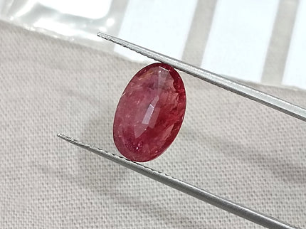 2.84ct Mozambique Ruby Untreated Natural SGL Certified Rasberry Red Stone