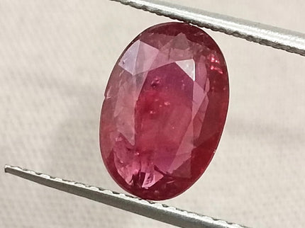 2.16ct Untreated Mozambique Natural Ruby SGL Certified Rasberry Red Oval Gemstone