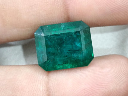 16.71ct Natural Emerald Deep Forest Green AGRL Certified Octagon Cut Loose Gemstone