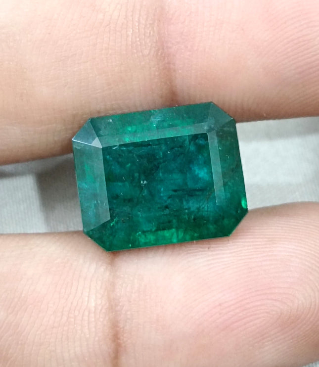 16.71ct Natural Emerald Deep Forest Green AGRL Certified Octagon Cut Loose Gemstone