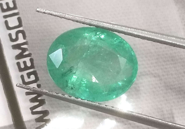3.29ct Medium Light Green Zambian Emerald Minor Oiled Loose Gemstone