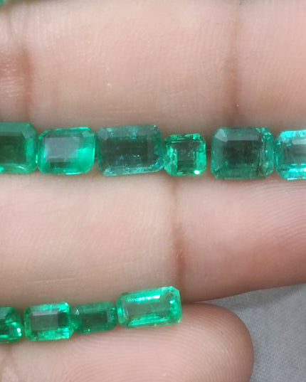 20.64ct Medium to Vivid Green Zambian Emerald Parcel Minor Oiled Loose Gemstones