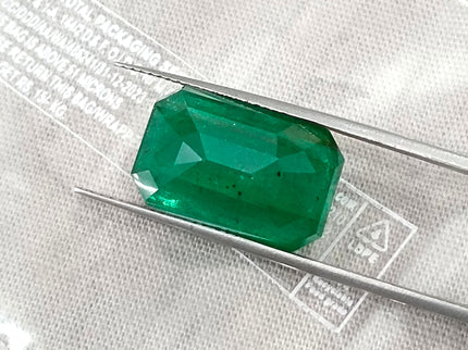 Zambian Emerald 10.36ct Natural Deep Velvet Green Octagon Cut Gemstone