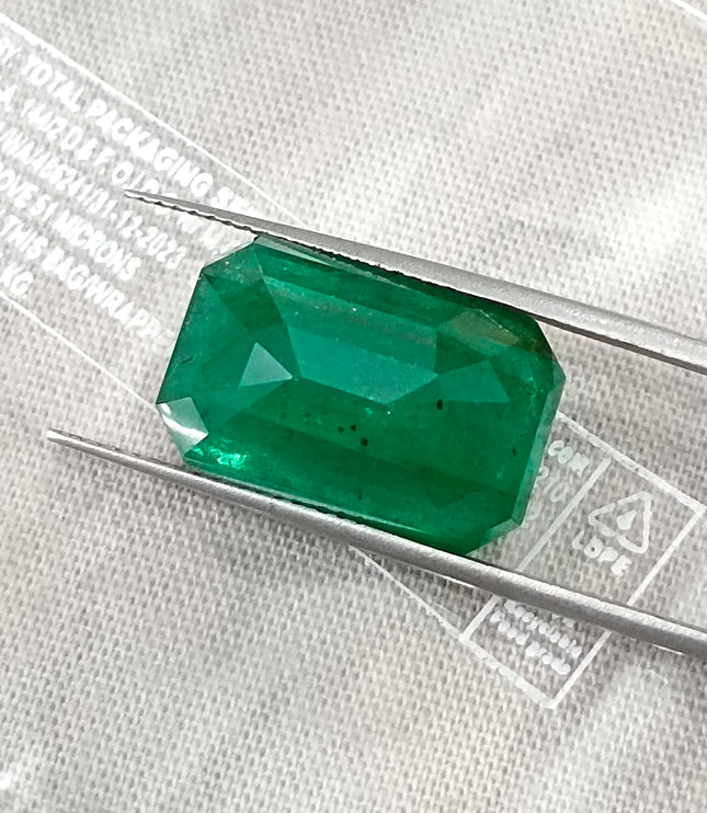 Zambian Emerald 10.36ct Natural Deep Velvet Green Octagon Cut Gemstone