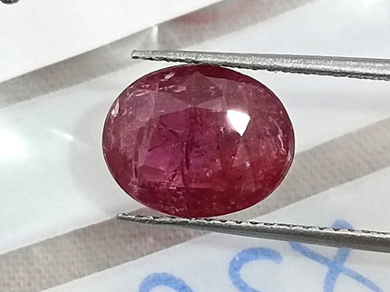 2.82ct Unheated Natural Ruby SGL Certified Mozambique Purplish Red Oval Cut Loose Gemstone