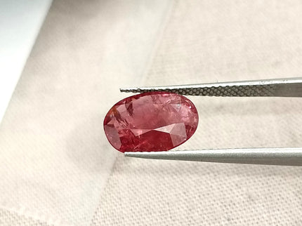 2.59ct Unheated Natural Ruby Mozambique SGL Certified Wine Red Oval Loose Gemstone