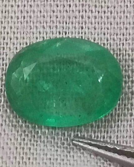GSI USA Certified Medium Vivid Green Natural Zambian Emerald Minor Oiled Loose Gemstone