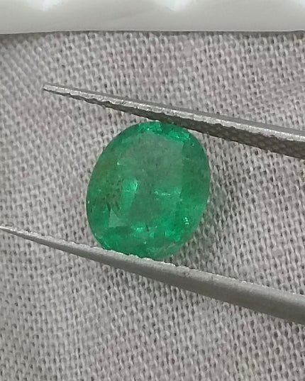 GSI Certified Vivid medium deep Green Swat Emerald Minor Oiled Loose Gemstone
