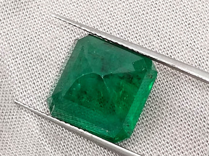 Emerald Natural 9.93 ct Certified Deep Vivid Green Octagon Cut Loose Gemstone