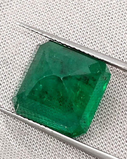 Big Size 9.93ct Zambian Emerald Vivid Deep Green  Certified by GSI Minor Oiled Loose Gemstone